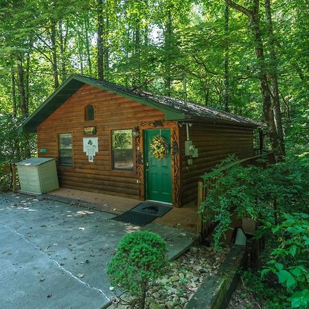 Villa Beary Cozy Pigeon Forge Exterior foto